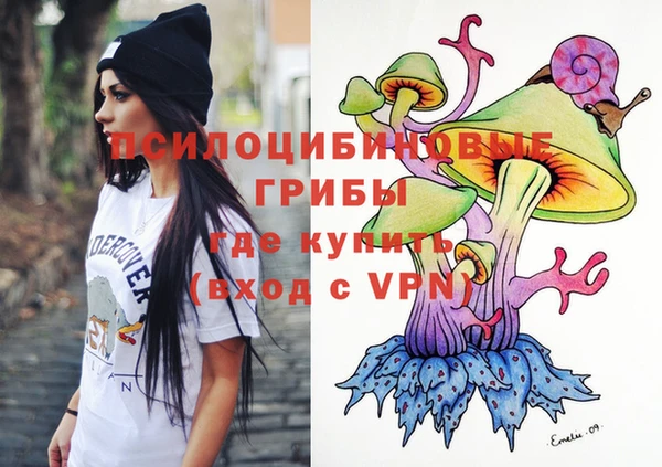 mdpv Кодинск
