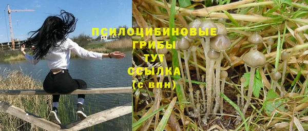 ALPHA-PVP Баксан