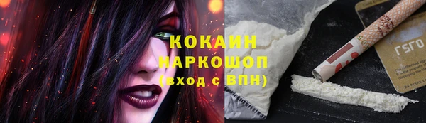 мдпв Ладушкин