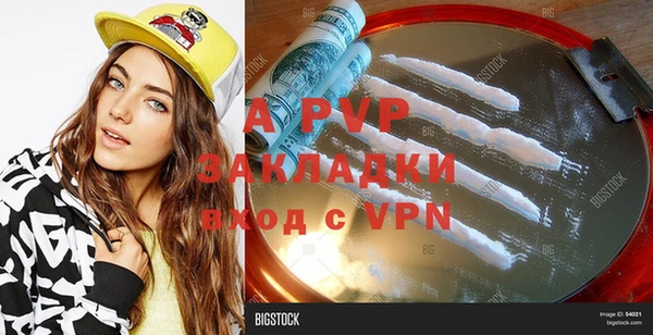 сатива Каменка
