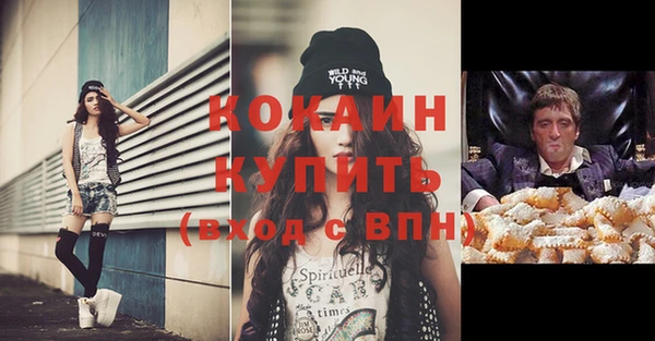 прущие грибы Козловка