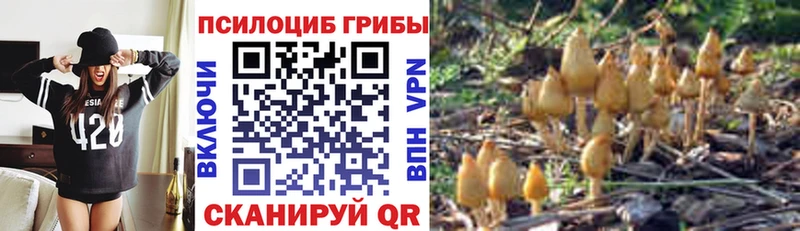 Галлюциногенные грибы Psilocybine cubensis  Коммунар 