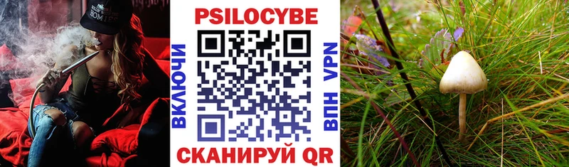 Галлюциногенные грибы Cubensis Коммунар