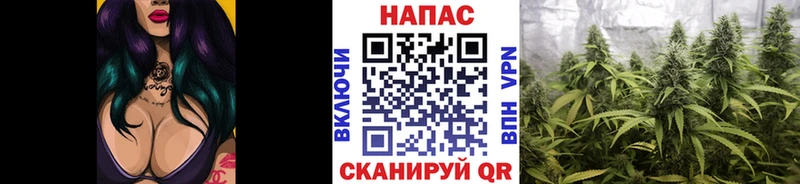 даркнет сайт Коммунар Бошки марихуана Bruce Banner